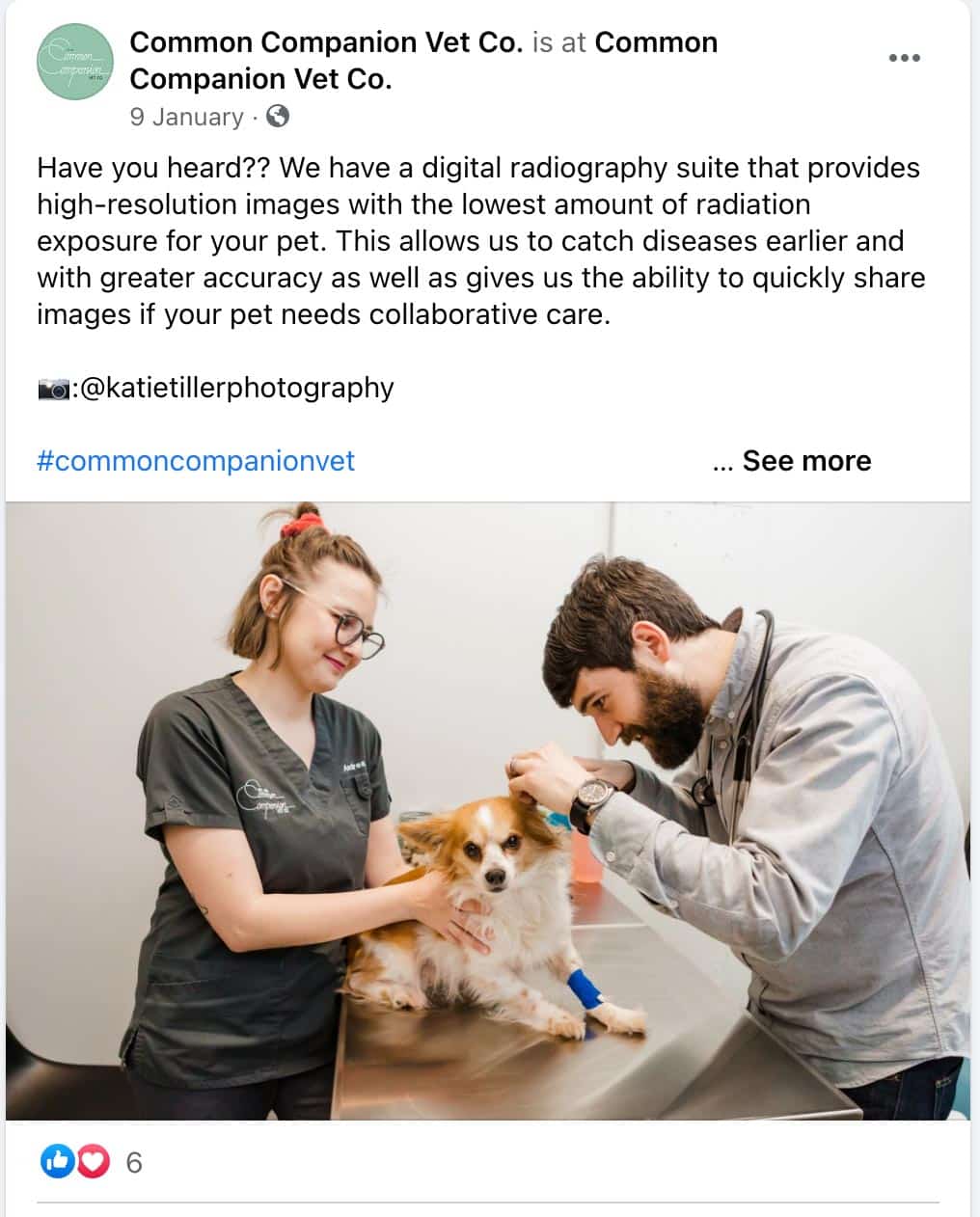 5 Simple Veterinary Social Media Tips For Your Practice