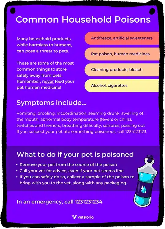 Common Household Poisons