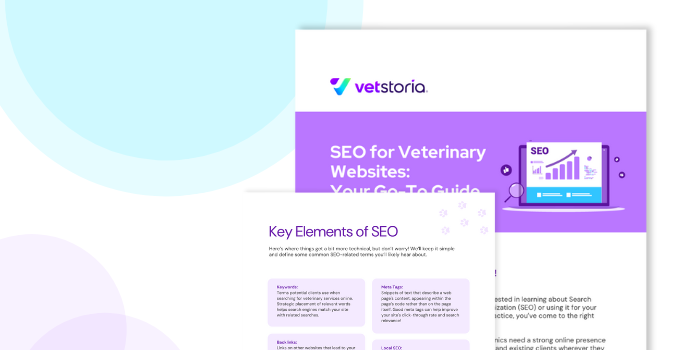 VS SEO guide for veterinary websites