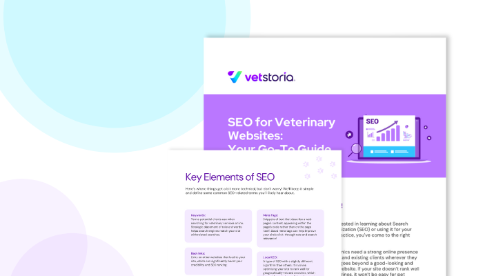 VS SEO guide for veterinary websites