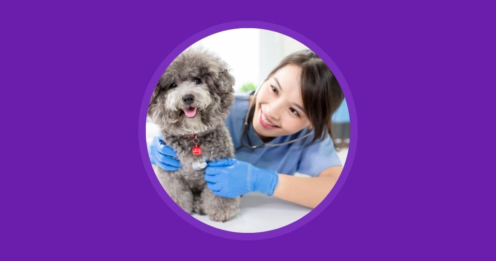 Best Practices for Scheduling Appointments at Your Veterinary Clinic Vetstoria blog