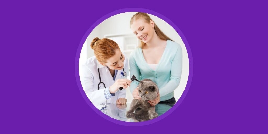 Beyond pet care building trust & connection with veterinary clients - Vetstoria blog