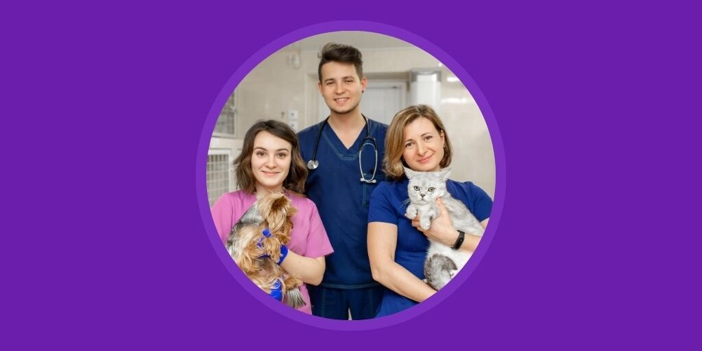 How to Attract and Retain Talented Veterinary Professionals Vetstoria blog