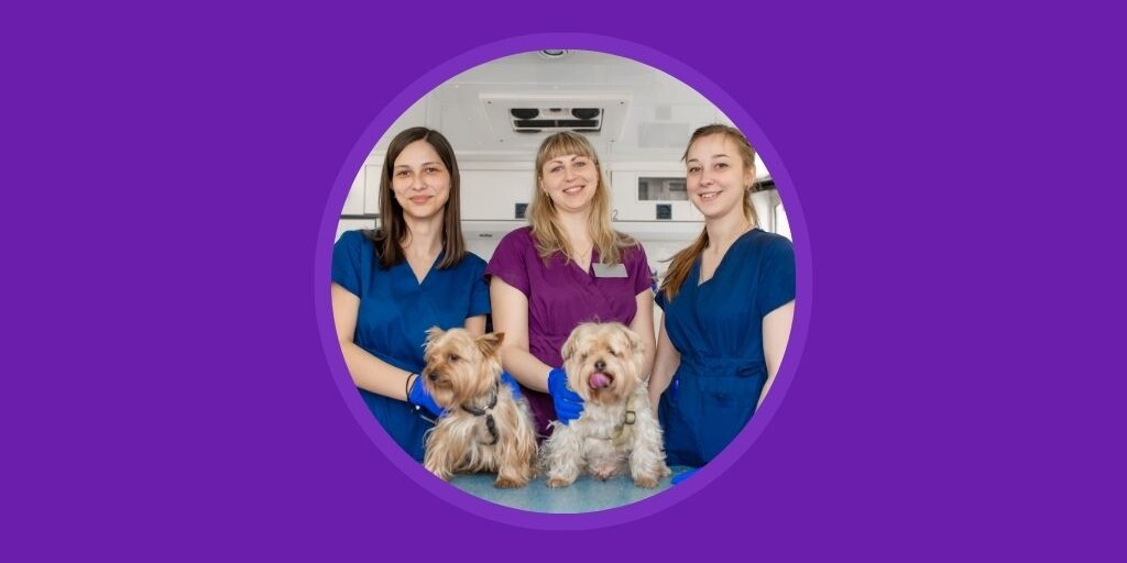 More Veterinary Technology, Less Burnout for Your Team Vetstoria blog