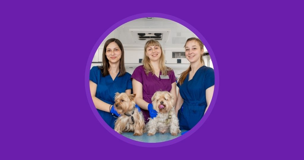 More Veterinary Technology, Less Burnout for Your Team Vetstoria blog