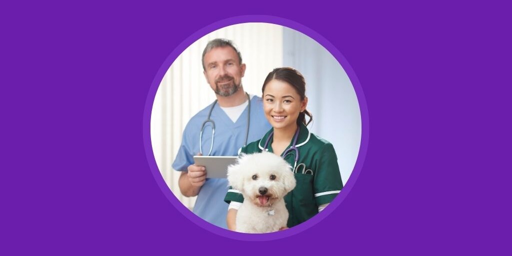 Plan Your Veterinary Marketing Goals Now to Thrive in 2025 Vetstoria blog