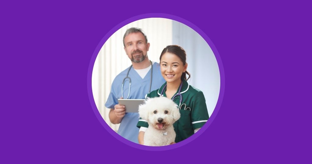 Plan Your Veterinary Marketing Goals Now to Thrive in 2025 Vetstoria blog